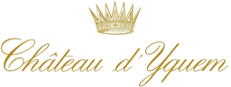 Toon producten in categorie Château D'Yquem Afbeelding voor categorie Château D'Yquem
