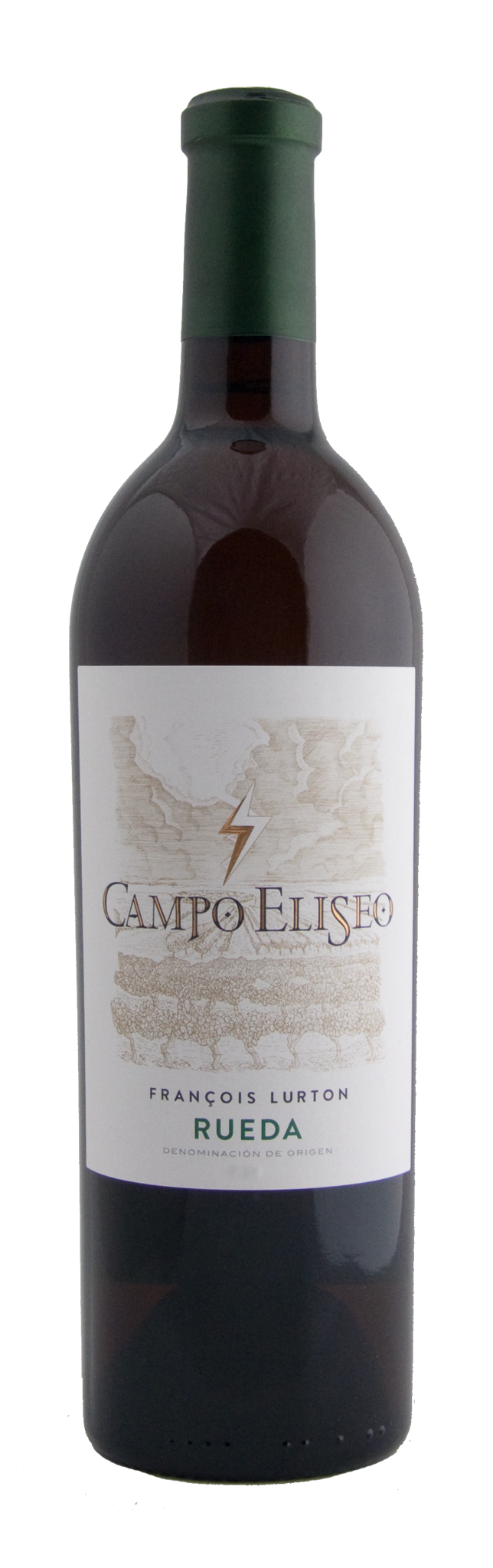 Afbeelding van Campo Eliseo Rueda '22