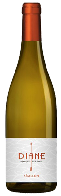 Afbeelding van Diane Semillon '20