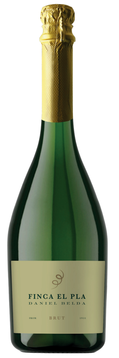Afbeelding van Finca El Pla Brut