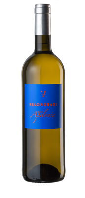 Afbeelding van Belondrade Quinta Apolonia Verdejo '24 c/12